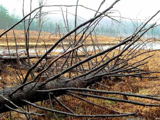 świat rolet i okien w Czarnkowie