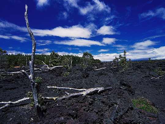 Wałcz okna Wałcz okna