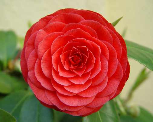 nowoczesne okna w Pile