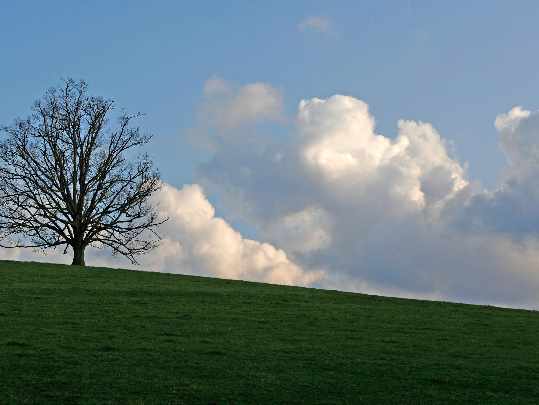 okna w Pile okna w Pile