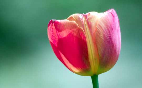 okna plastikowe Piła