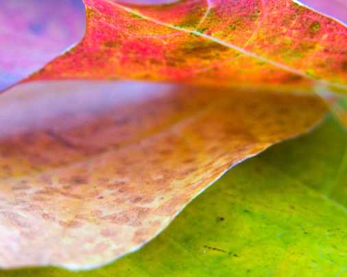 najlepsze okna Piła