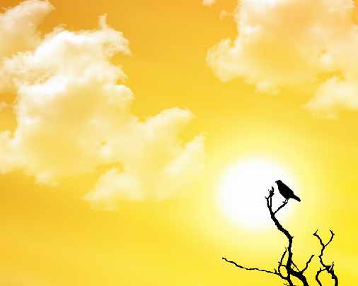 dobre okna z drewna Piła