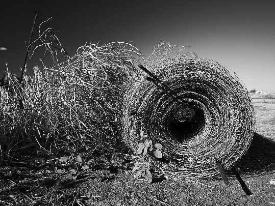 świat rolet i okien w Chodzieży