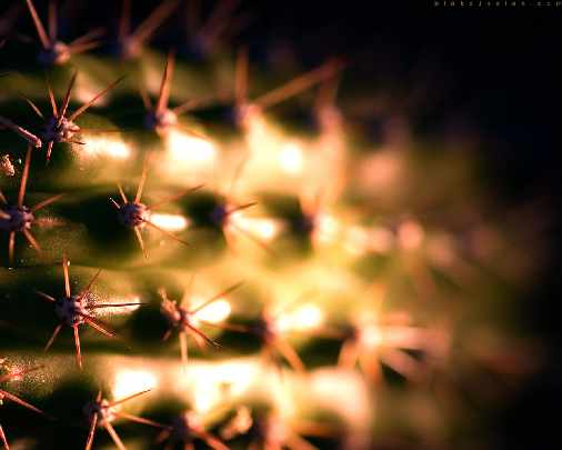 producent okien plastikowych Czarnkow