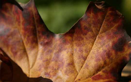 okna energooszczędne Wieleń