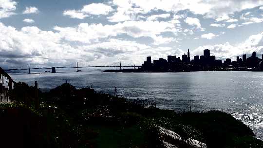 Piła sklep z oknami