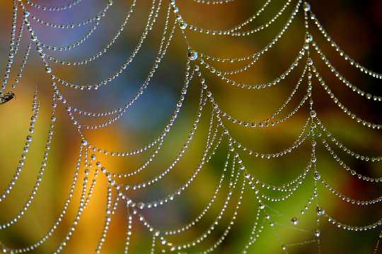 dobre okna w Trzciance