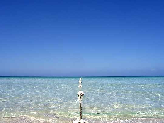 Pila okna tanio Pila okna tanio