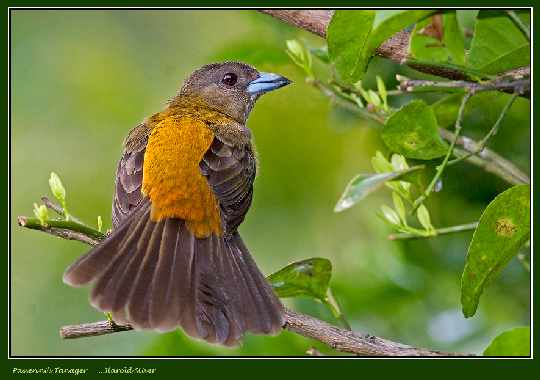 Walcz bramy garażowe okna