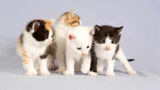 okna plastikowe Piła