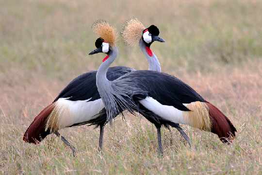 okna plastikowe Pila