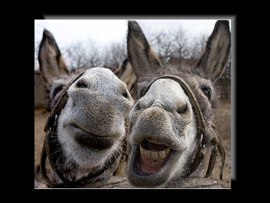 producent okien pcv Trzcianka