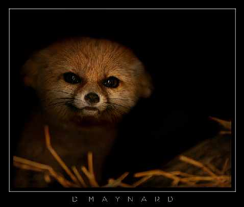 Piła okna plastikowe