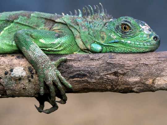 producent okien plastikowych Czarnkow