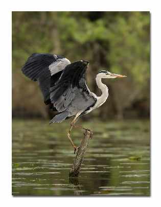 Pila producent okien PCV