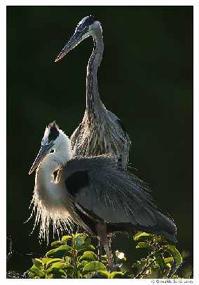 świat rolet i okien Piła