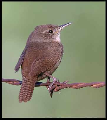 świat okien i rolet Trzcianka