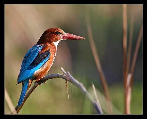 okna PCV Piła okna PCV Piła