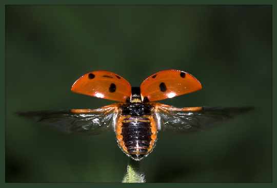 Wałcz świat rolet i okien