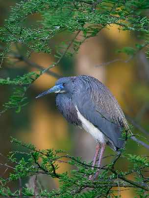 okna plastiki w Pile