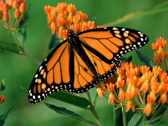 Wałcz producenci okien