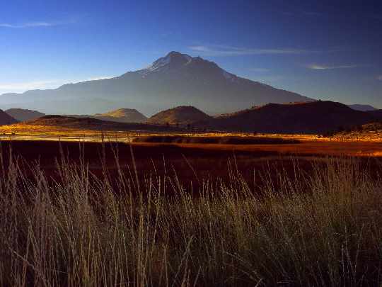 Pila salon okien i rolet