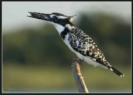 okna plastikowe Piła