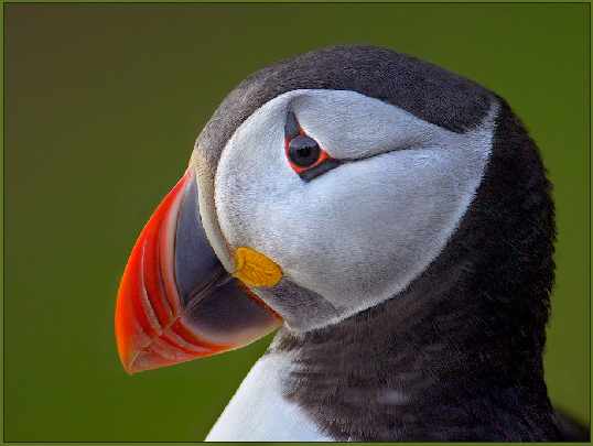 Okna Grobud Piła opinie