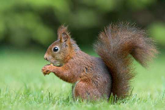 Trzcianka producent okien drewnianych