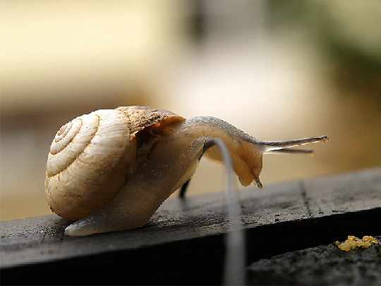 Zlotow swiat okien i rolet