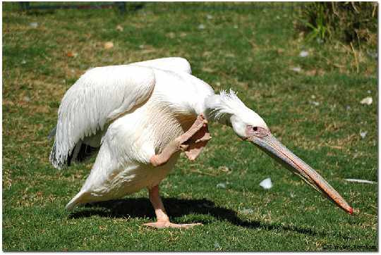 okna w Chodzieży cennik
