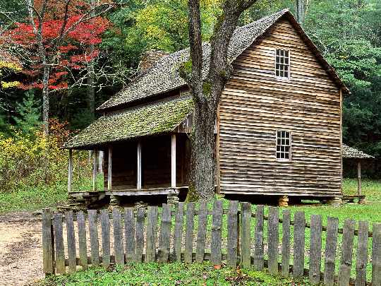 Pila producent okien drewnianych