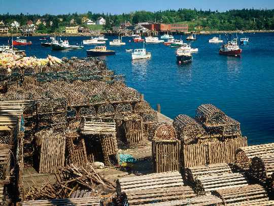 Zlotow najlepsze okna