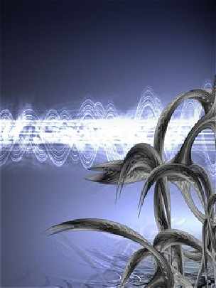 Czarnkow okna sklepy