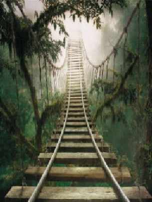 Czarnkow okna z drewna