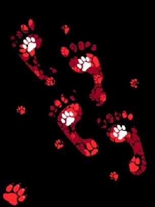 okna PCV Piła okna PCV Piła