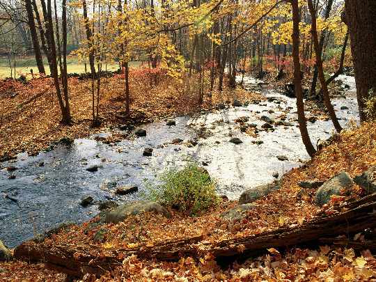 sklepy z oknami w Pile