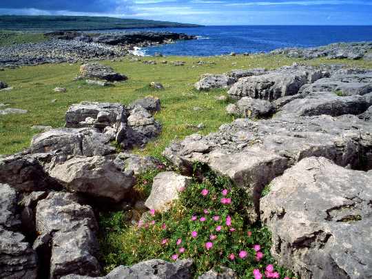 Walcz sklepy z oknami