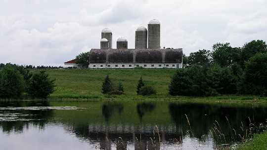 okna Trzcianka
